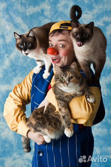 Билеты в Театр кошек Куклачева на Кошки в городе