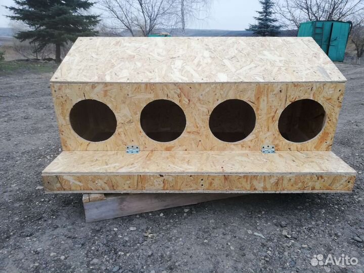 Гнездо для кур с яйцесборником