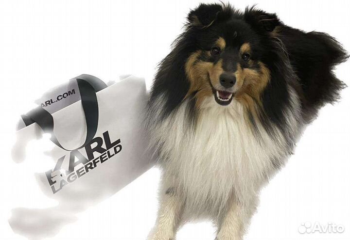 Вязка Шелти