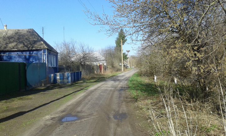 Дом 49 м² на участке 60 сот.