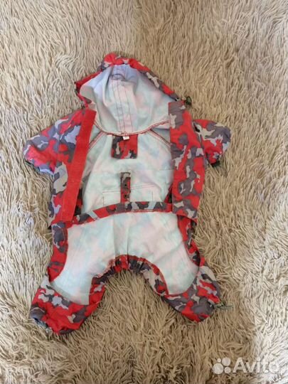 Одежда для собак мелких пород