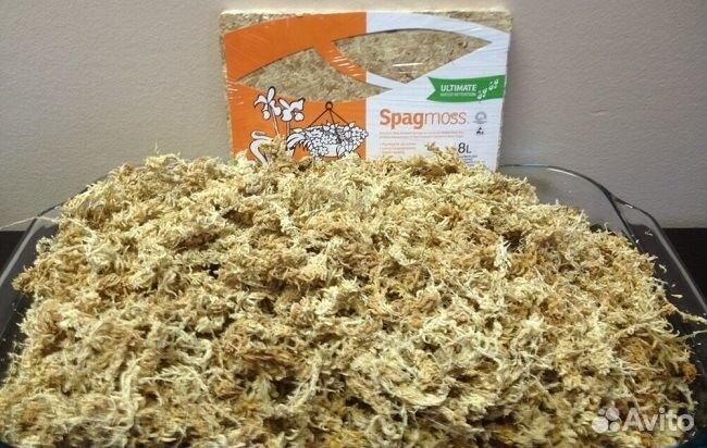 Мох сфагнум Spagmoss