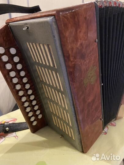 Гармонь кубань
