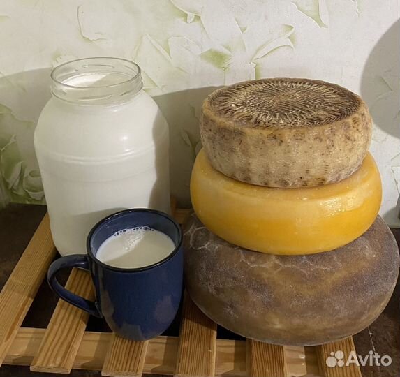 Козье молоко,сыры от нубийских коз