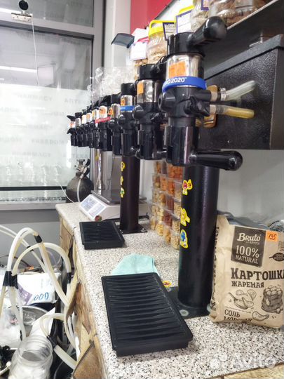 Торговая точка разливного пива