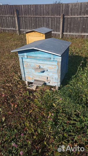 Домики для пчёл