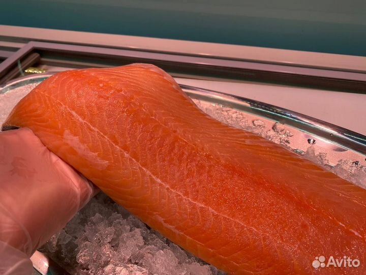 Лосось филе слабосолённый. Опт
