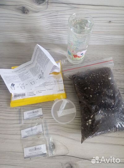 Набор для проращивания семян хищных растений