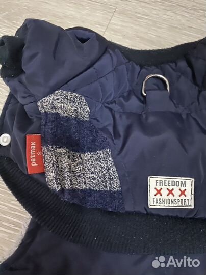 Одежда для маленьких собак