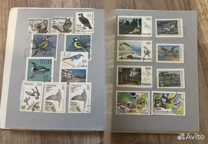 Альбом с марками подборка Птицы