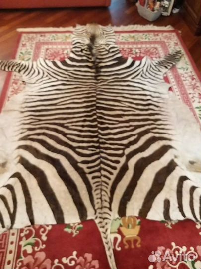 Шкура зебры выделаная под ковер