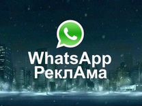 Рассылка WhatsApp