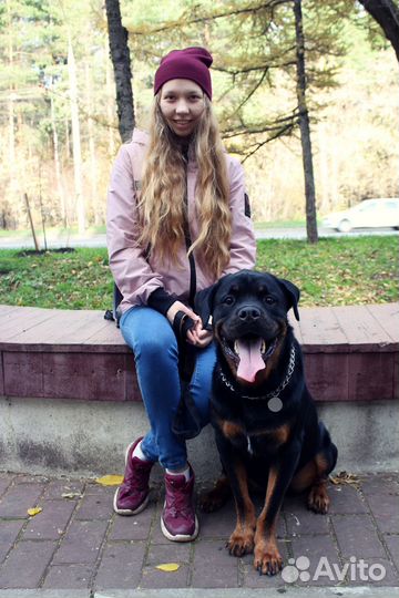 Личный ассистент