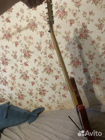 Гитара, Электрогитара PhillPro