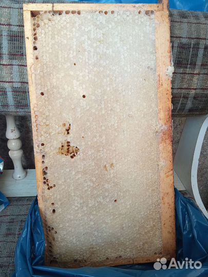 Мед разнотравье При покупке 1л. второй за 100руб