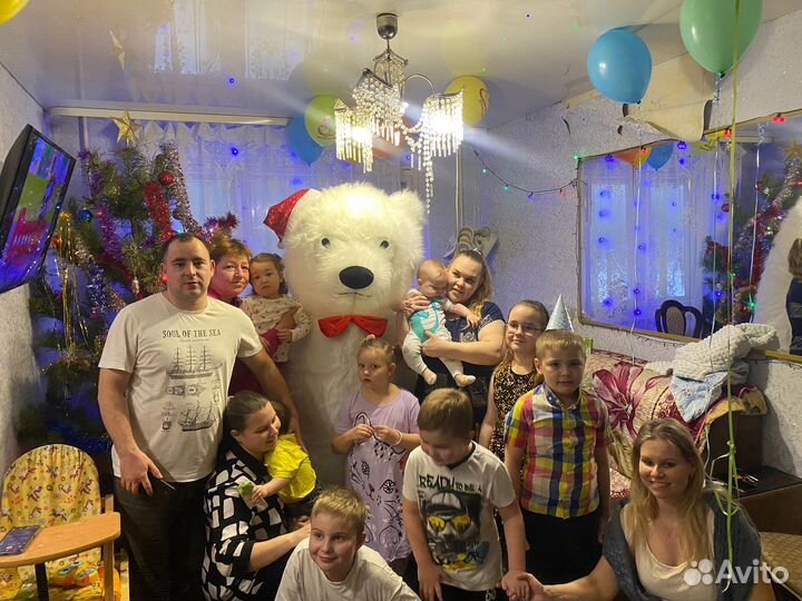 Белый мишка поздравление, чебурашка, Горилла