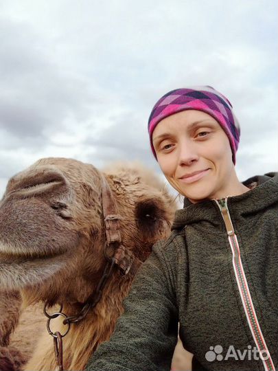 Репетитор по биологии