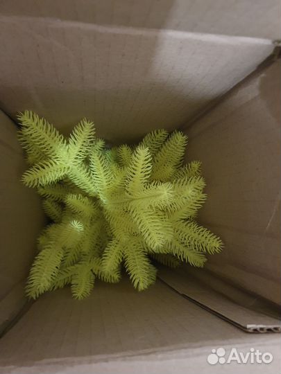 Ель искуственная сапфир желтая 80см