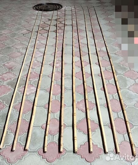 Бамбуковые удилища