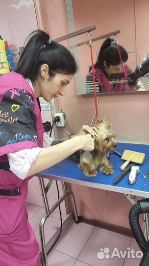 Грумер на дом