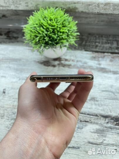 iPhone Xs, 256 ГБ