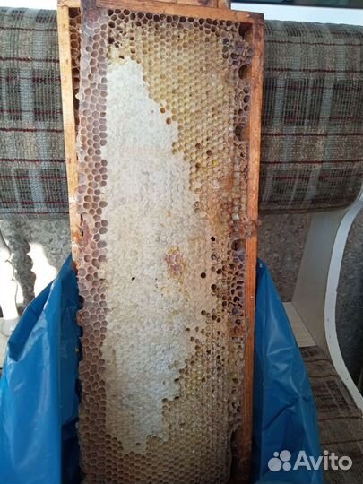 Мед разнотравье При покупке 1л. второй за 100руб