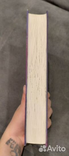 Злая лисица