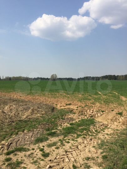 Участок 15 сот. (ИЖС)