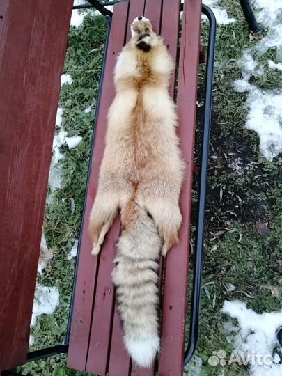 Шкуры лисы и чернобурки