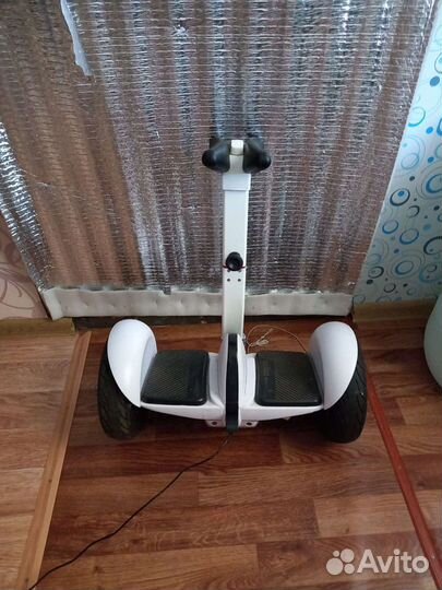 Сигвэй (гироскутор)