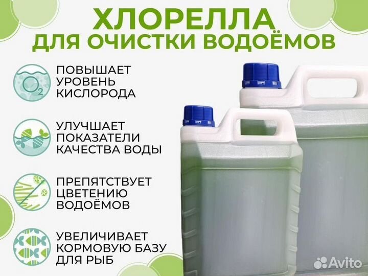 Хлорелла суспензия