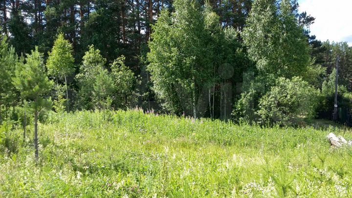 Участок 10 сот. (СНТ, ДНП)