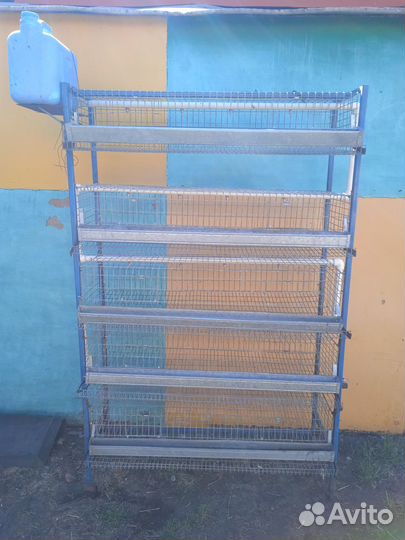 Клетки для перепелов бу