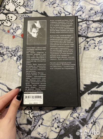 Стивен кинг кладбище домашних животных