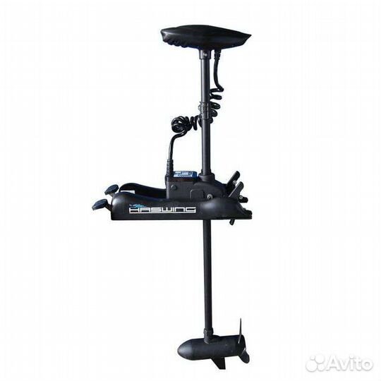 Haswing cayman B, 137 12v