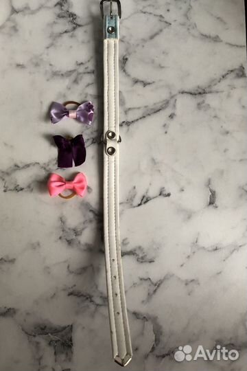 Ошейник для собак hunter modern luxus