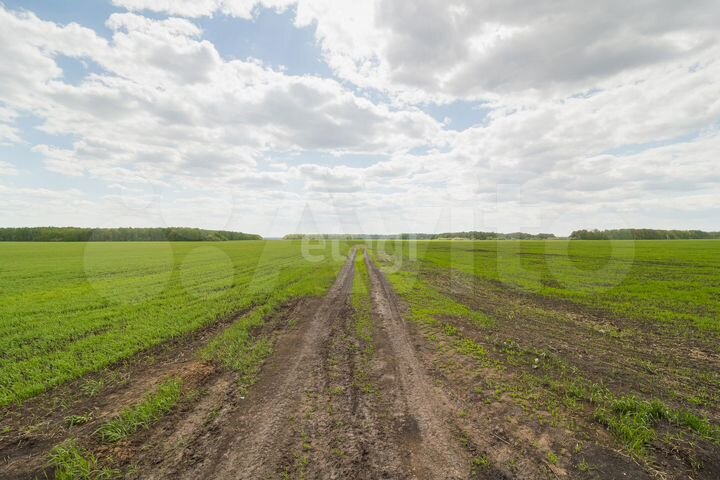 Участок 9,5 сот. (СНТ, ДНП)