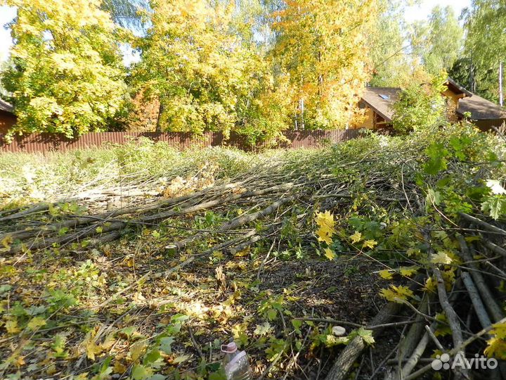 Покос травы и бурьяна любой сложности: косим все