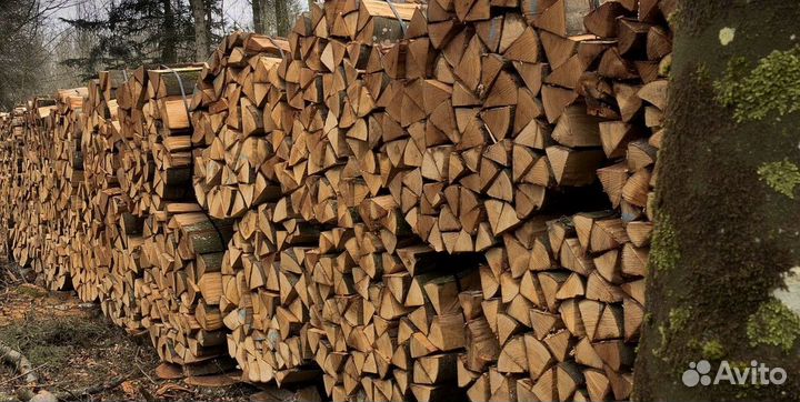 Дрова дрова