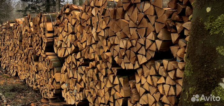 Дрова люксовые