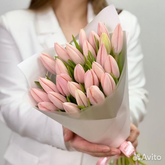 Тюльпан премиум