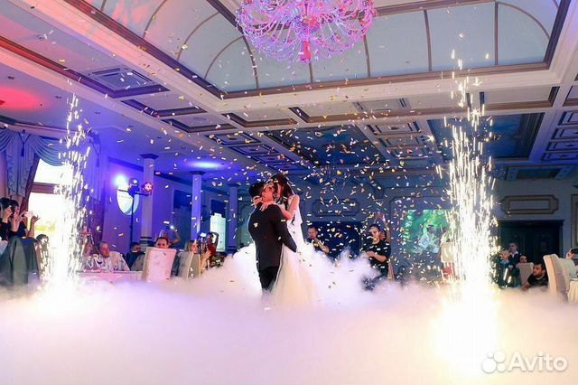 Ведущая (тамада) и звукооператор (ди-джей)