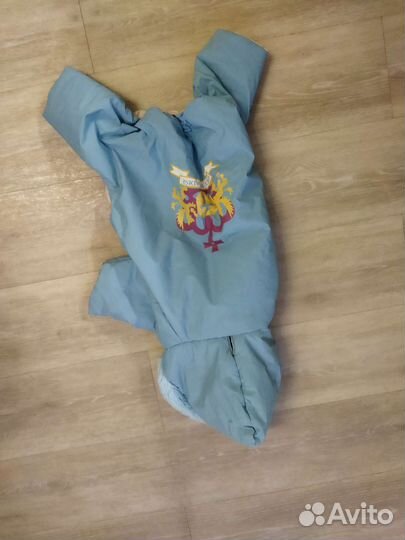 Комбинезон и свитер для собак