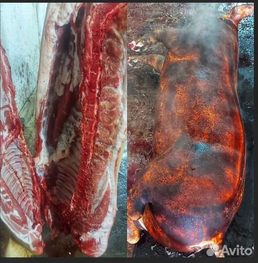 Мясо свинина, домашняя