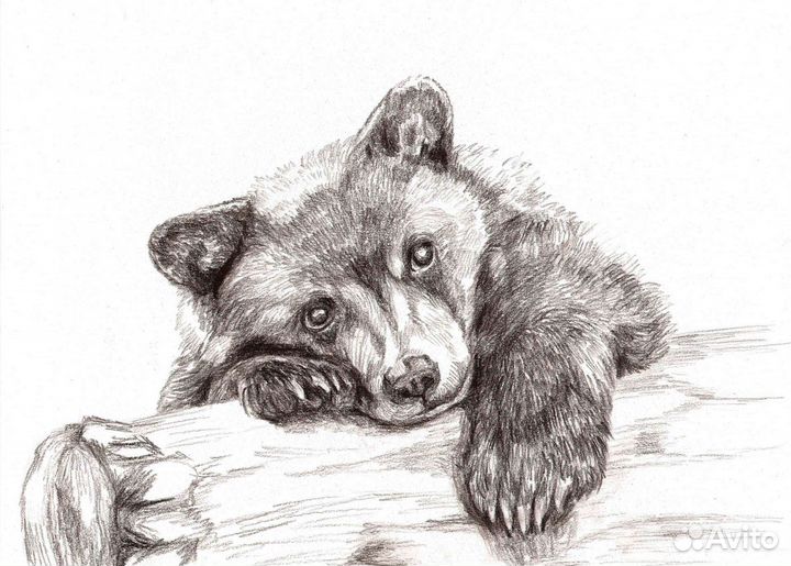 Рисую на заказ