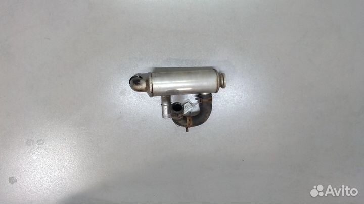 Охладитель отработанных газов Citroen Berlingo, 20