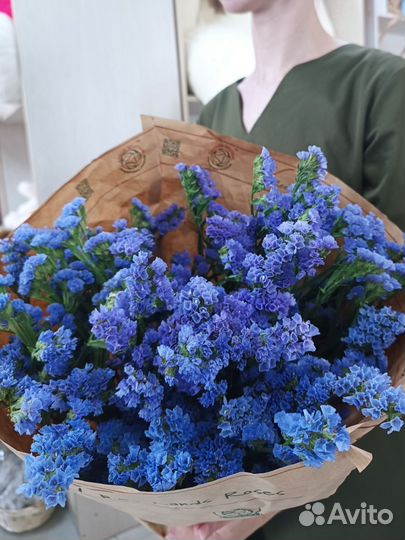 Статица оптом 70см