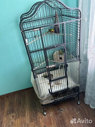 Большая клетка для птиц