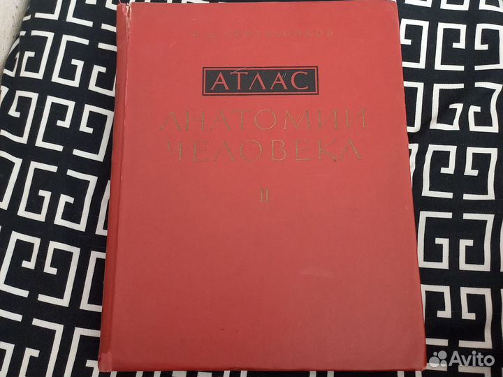 Атлас анатомии человека синельников 2 часть