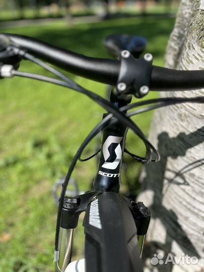 Scott aspect 60 (2014)